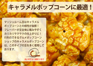 ポップコーン豆  500g ポップちゃん  2種 バタフライ・マッシュルーム タイプ  500g/1/2/5kg