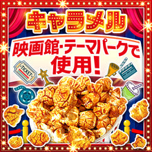 画像をギャラリービューアに読み込む, キャラメル・カラフル スイート フレーバー 737g・794g・800g・1.47Kg (12種) 1本・6本・12本・120本