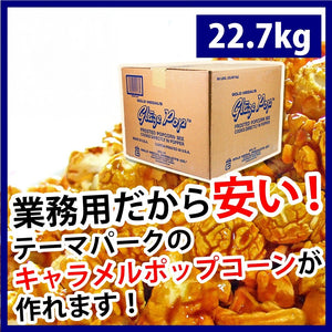 業務用・大容量】キャラメル・カラフル スイートフレーバー｜ 選べる8